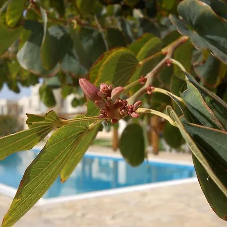 Nice Two-bedroom In Turtle Bay Village Apartment Kyrenia (Northern Cyprus)
